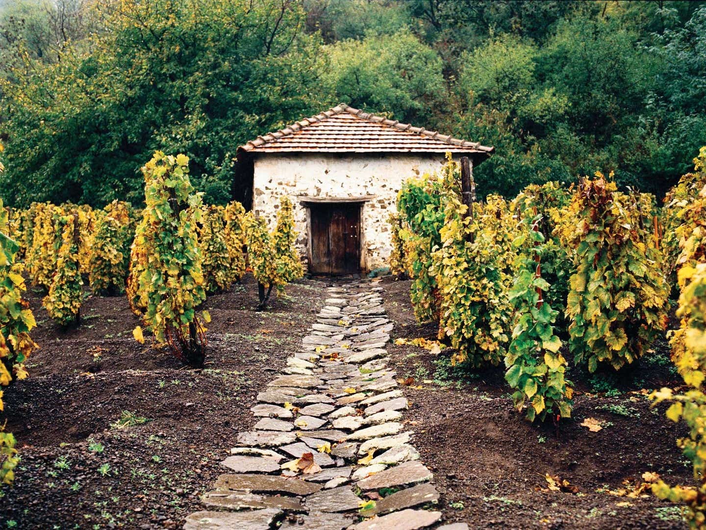 Somlóvásárhely, Hungary