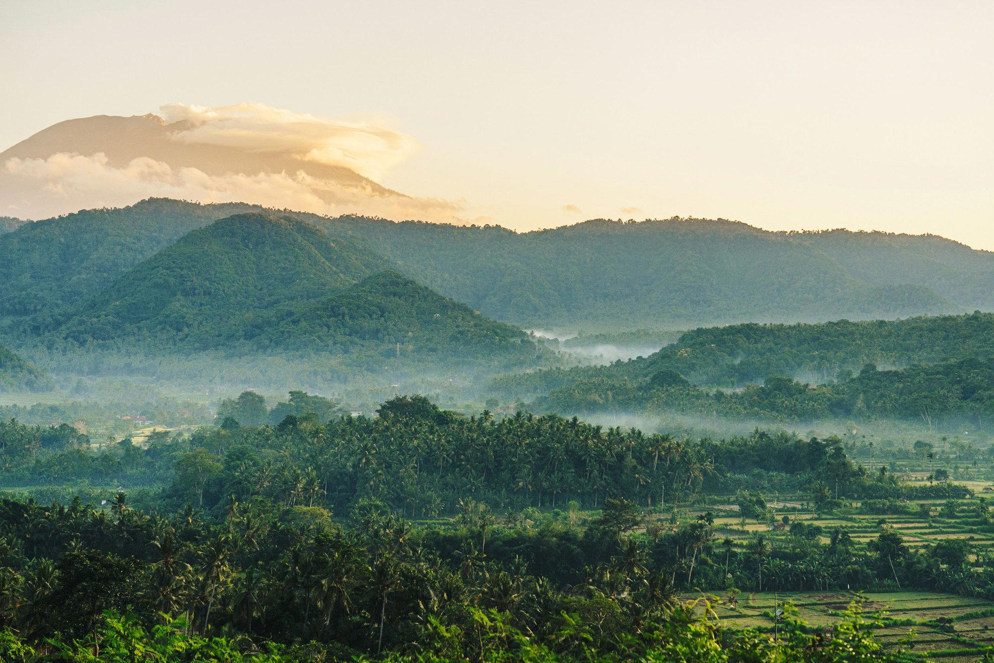 Pekutatan, Indonesia