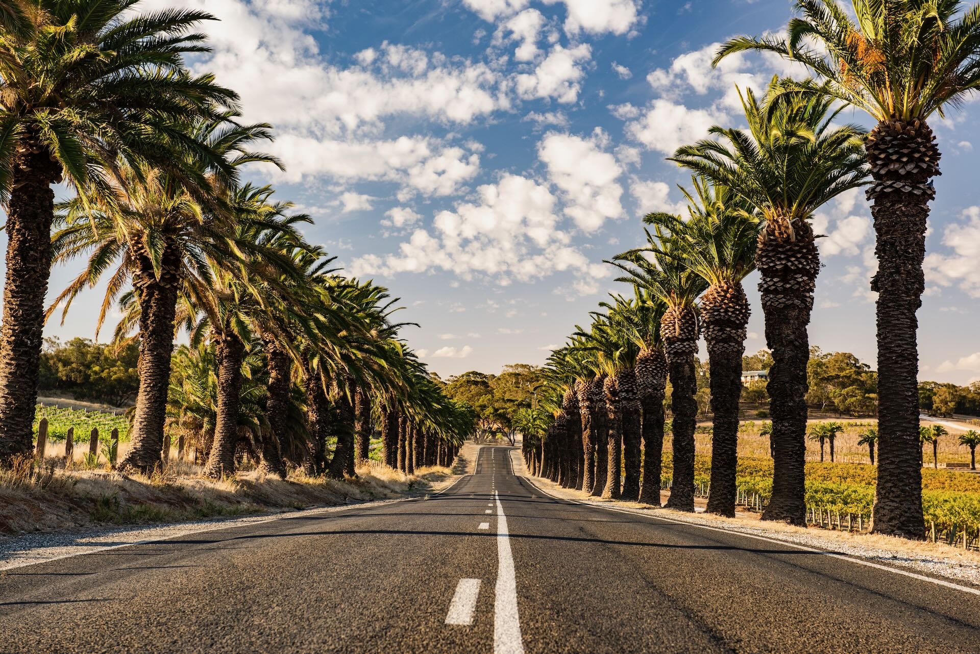 Seppeltsfield, Australia