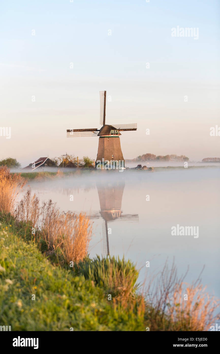 Wijdewormer, Netherlands