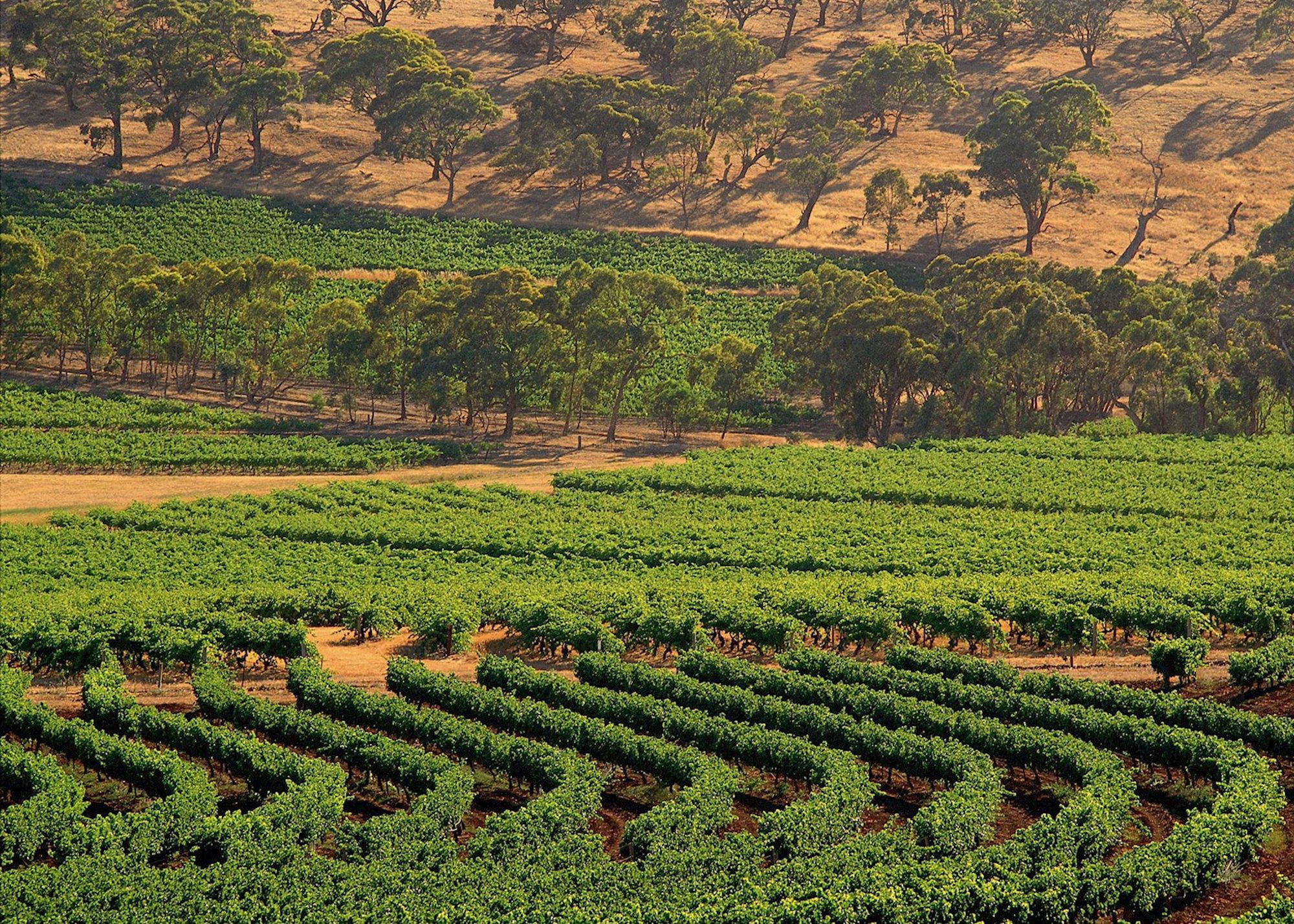 Clare Valley, Australia