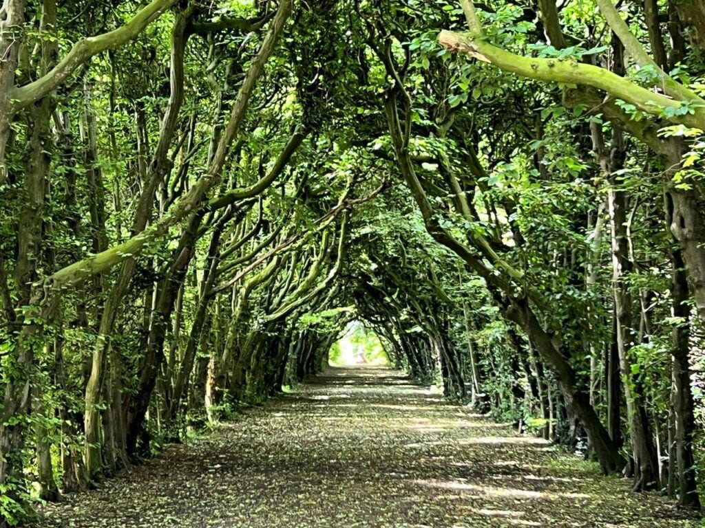 Eijsden, Netherlands