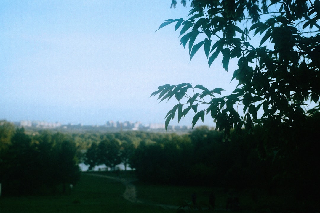 Gardena, United States