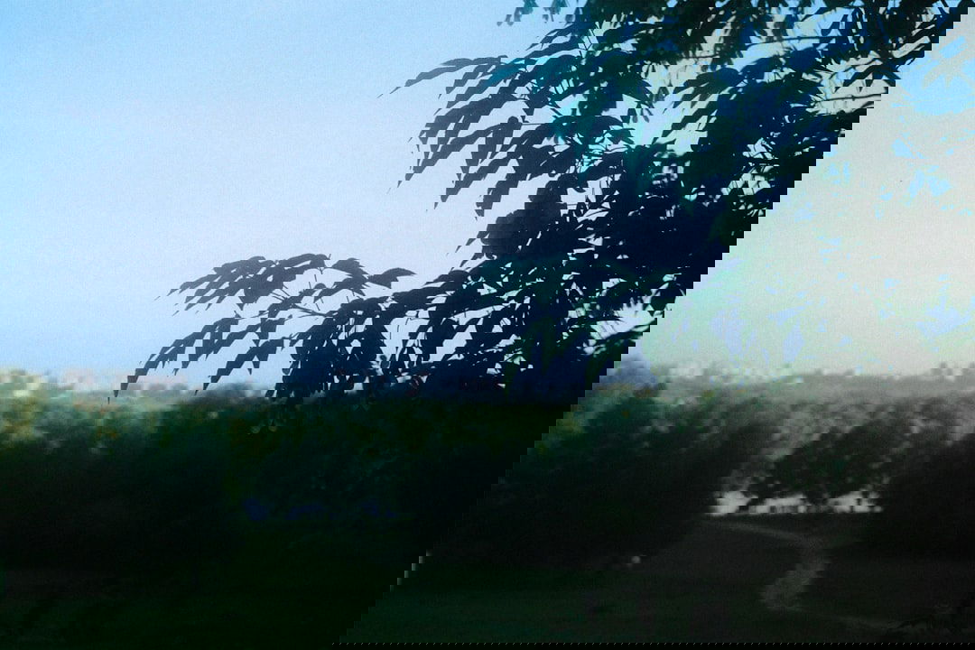 Gardena, United States