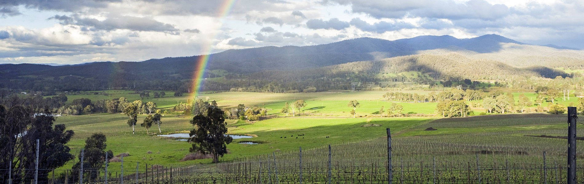 King Valley, Australia