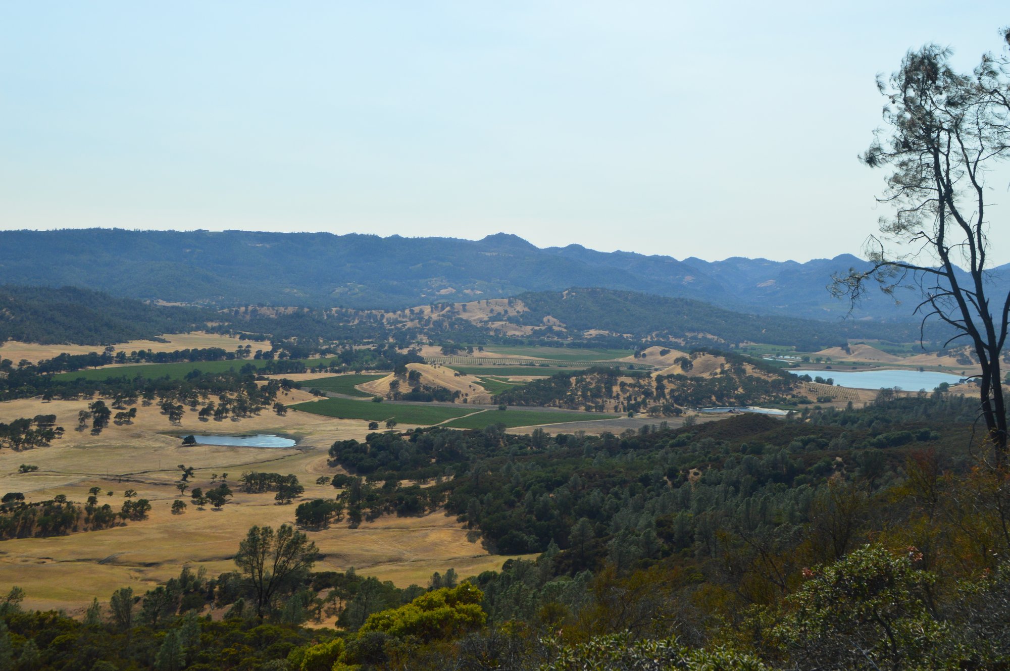 Pope Valley, United States