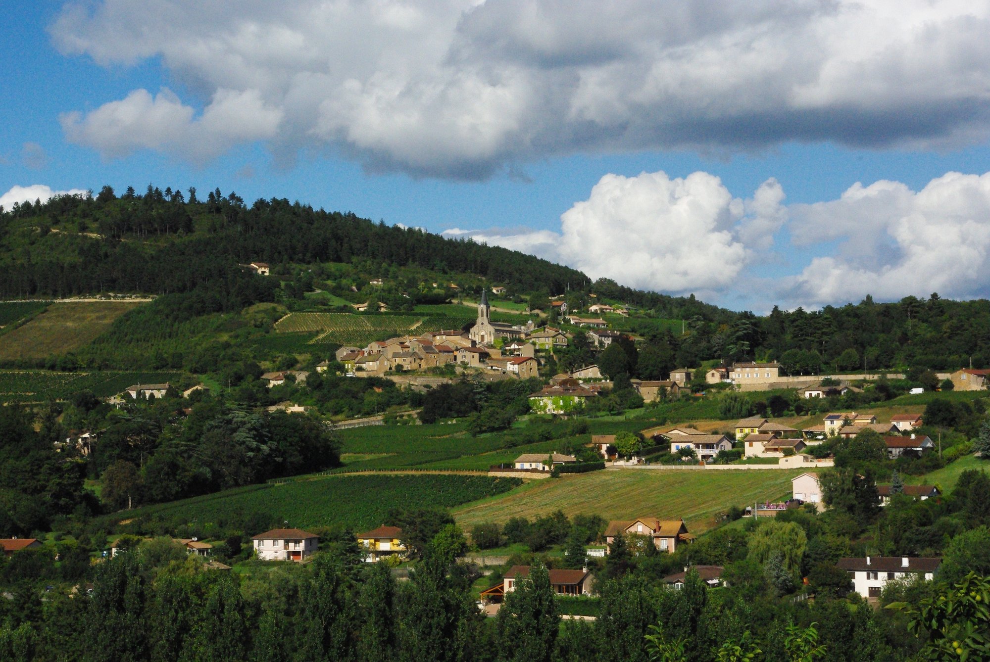La Roche-Vineuse, France