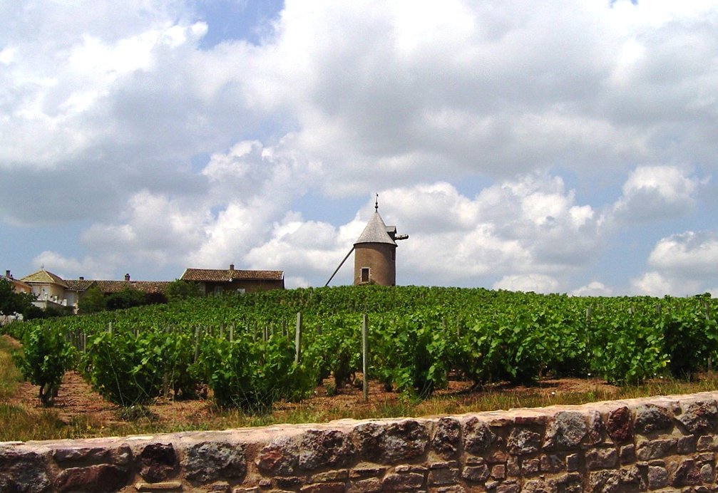 Romanèche-Thorins, France
