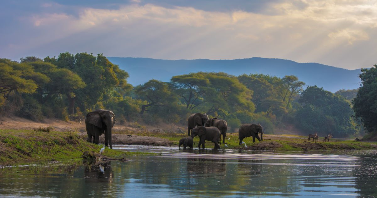 Lower Zambezi National Park, Zambia