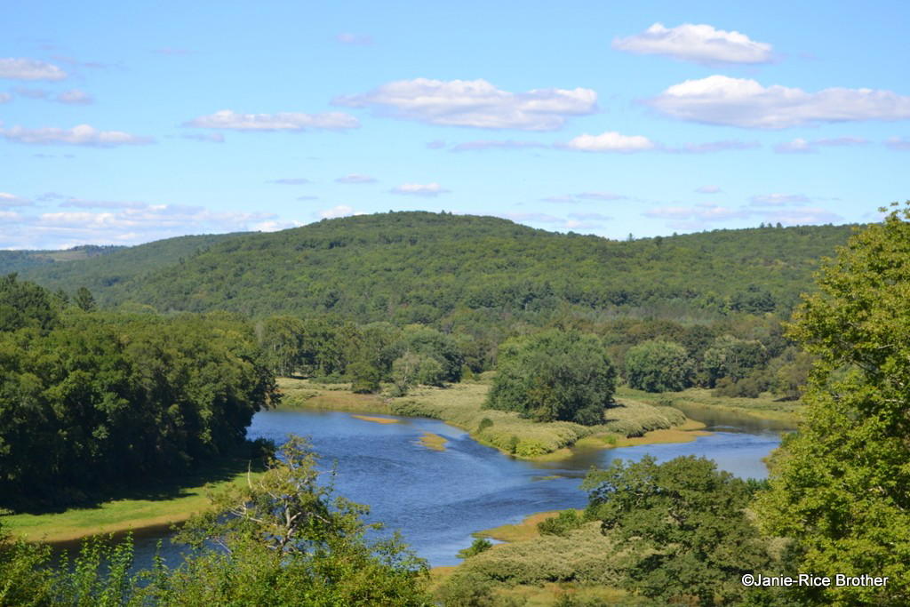 Callicoon, United States