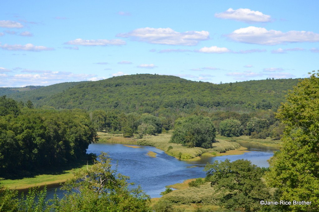 Callicoon, United States