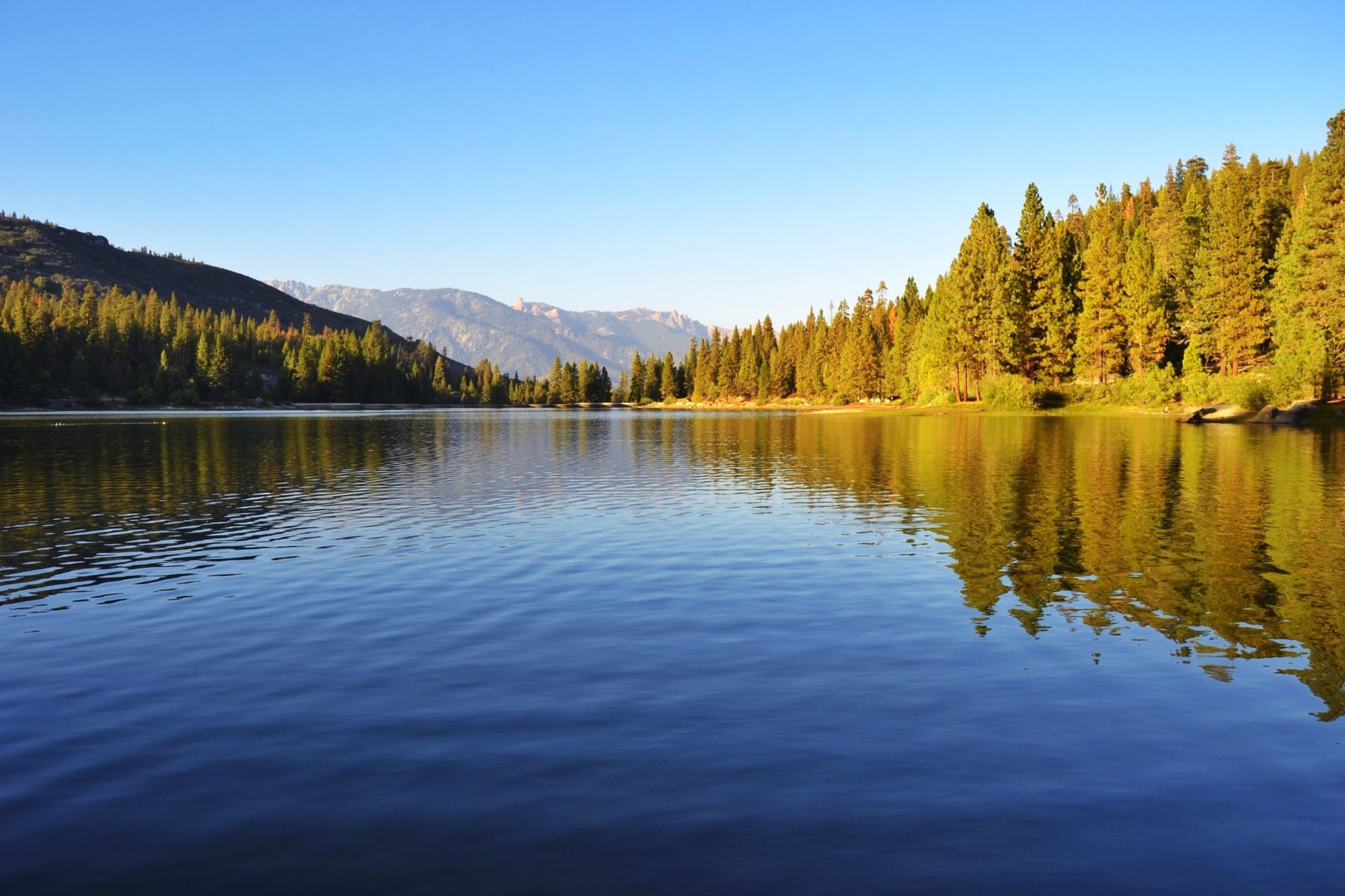 Hume, United States