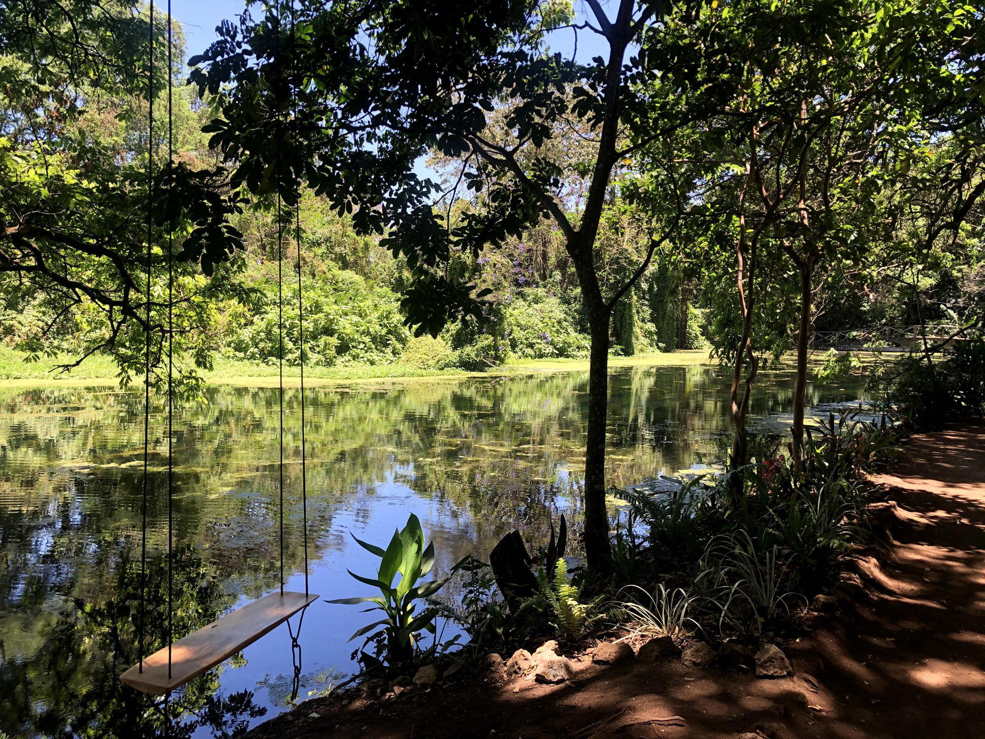 Usa River, Tanzania