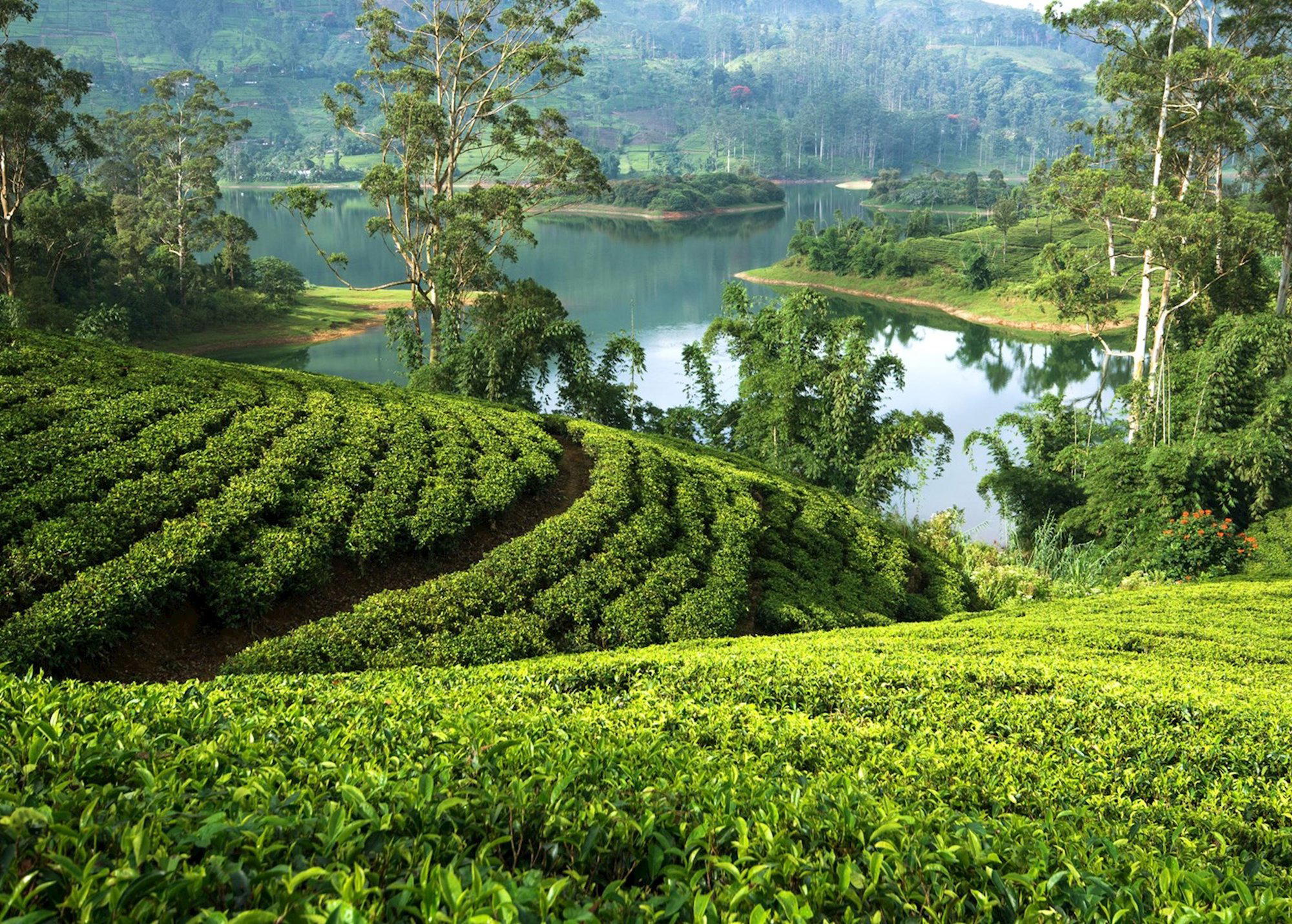 Hatton, Sri Lanka