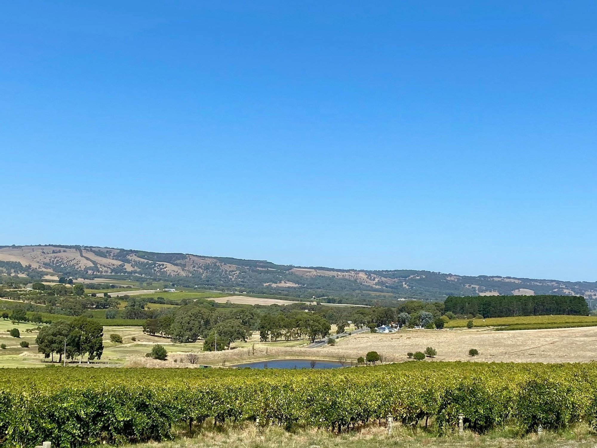 Blewitt Springs, Australia