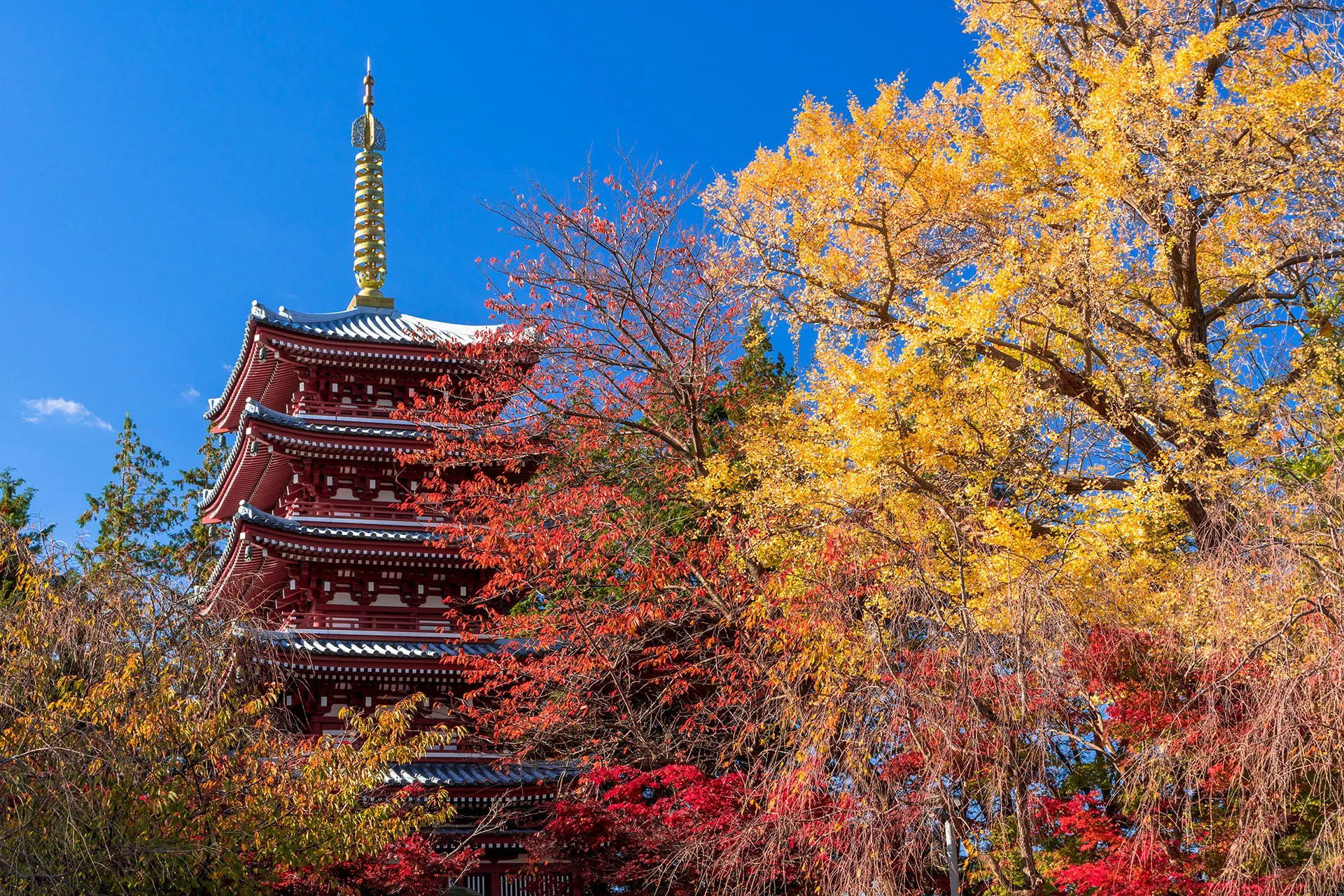 Matsudo, Japan
