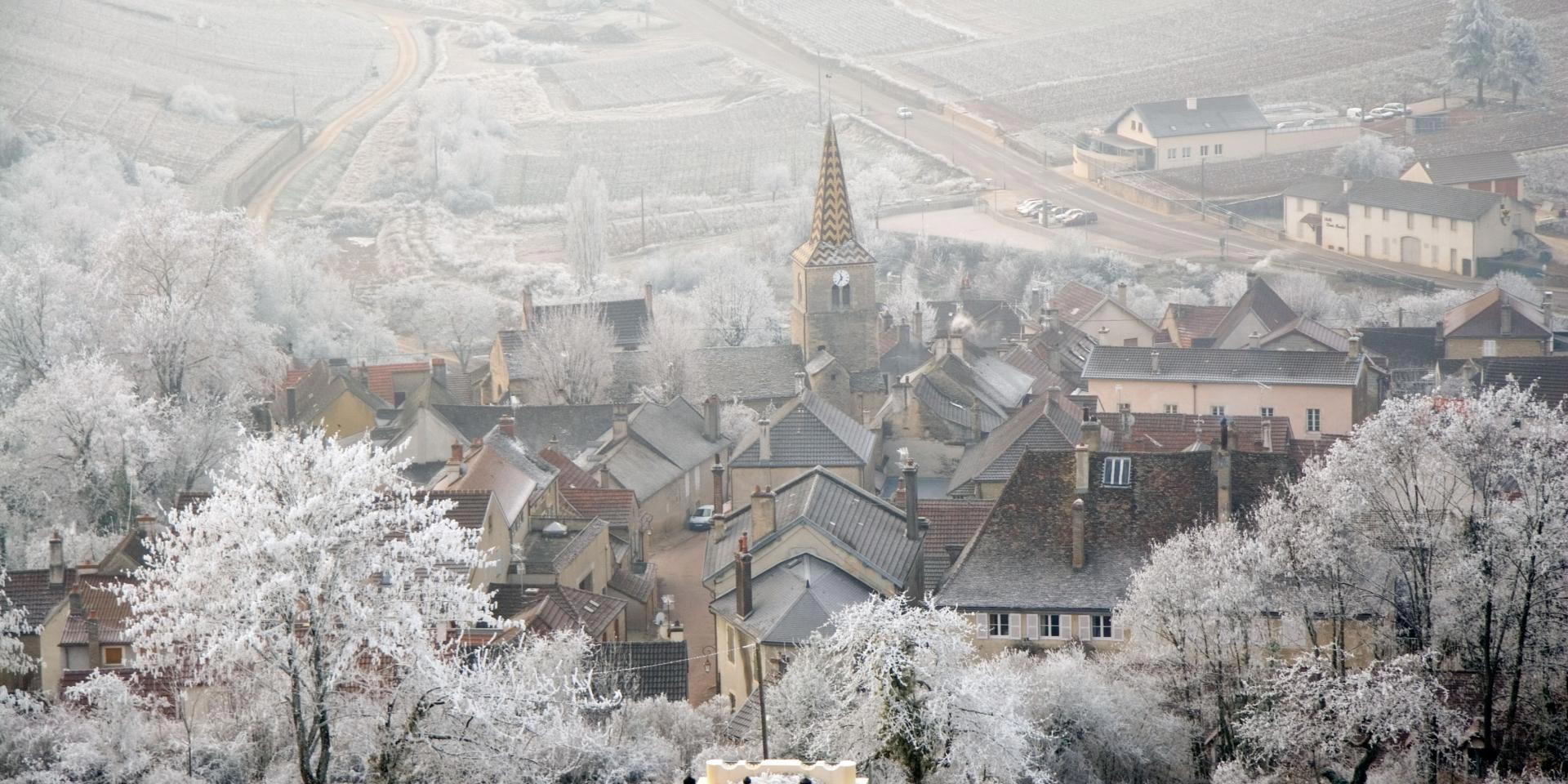 Pernand-Vergelesses, France