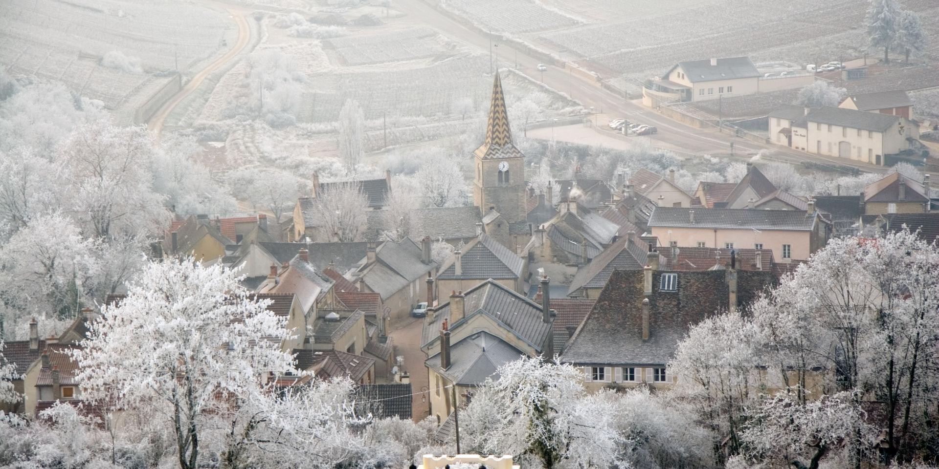 Pernand-Vergelesses, France