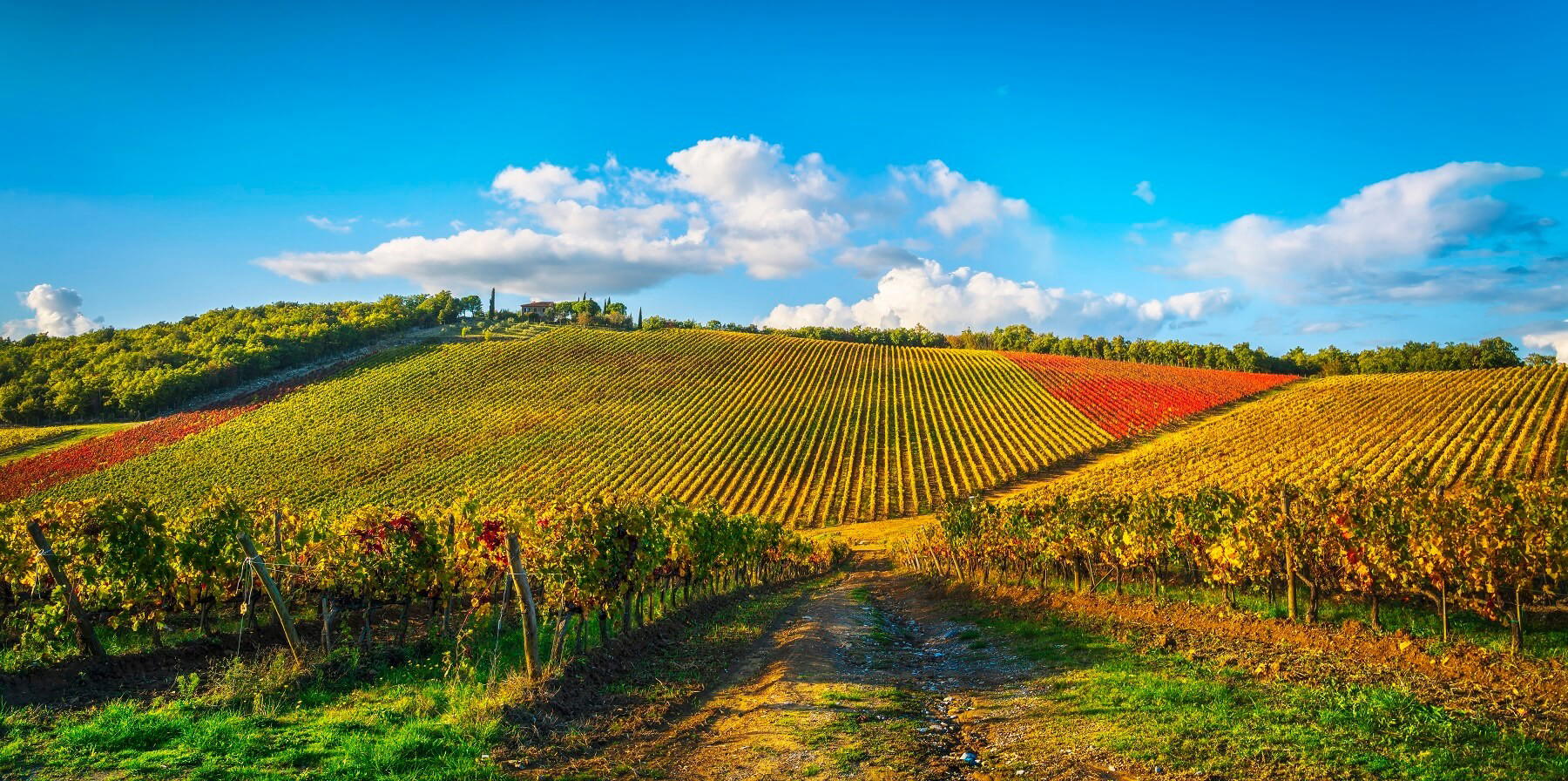 Gaiole in Chianti, Italy
