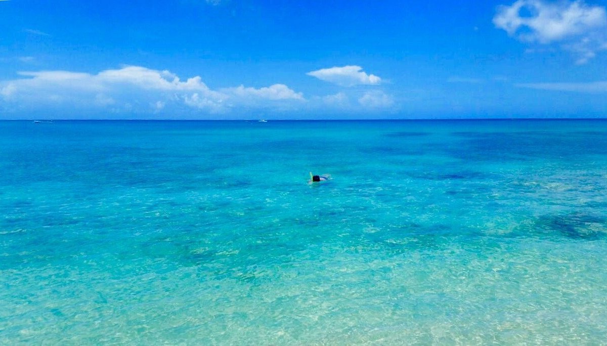 Paynes Bay, Barbados