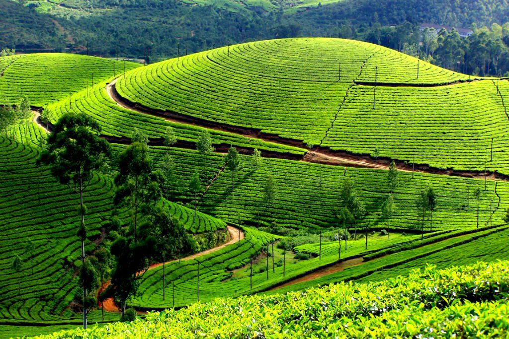Gisakura, Rwanda