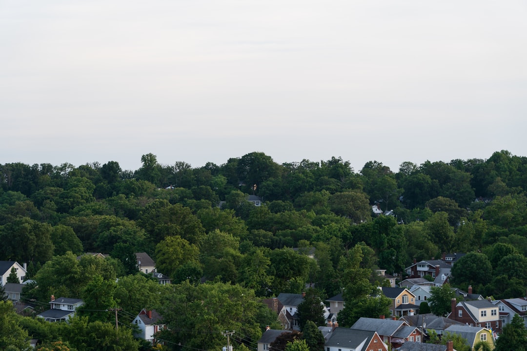 Jackson Village, United States