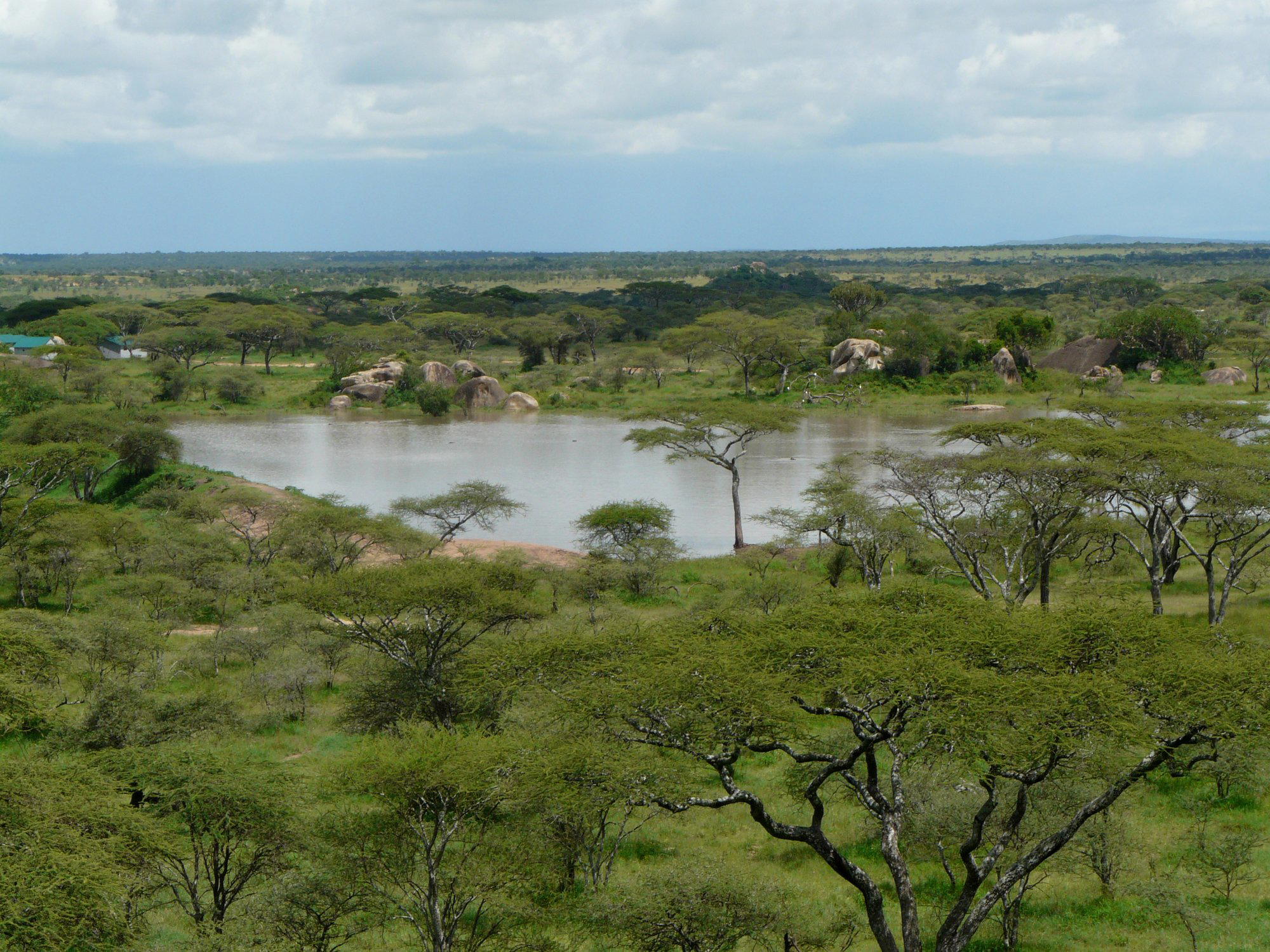 Seronera, Tanzania