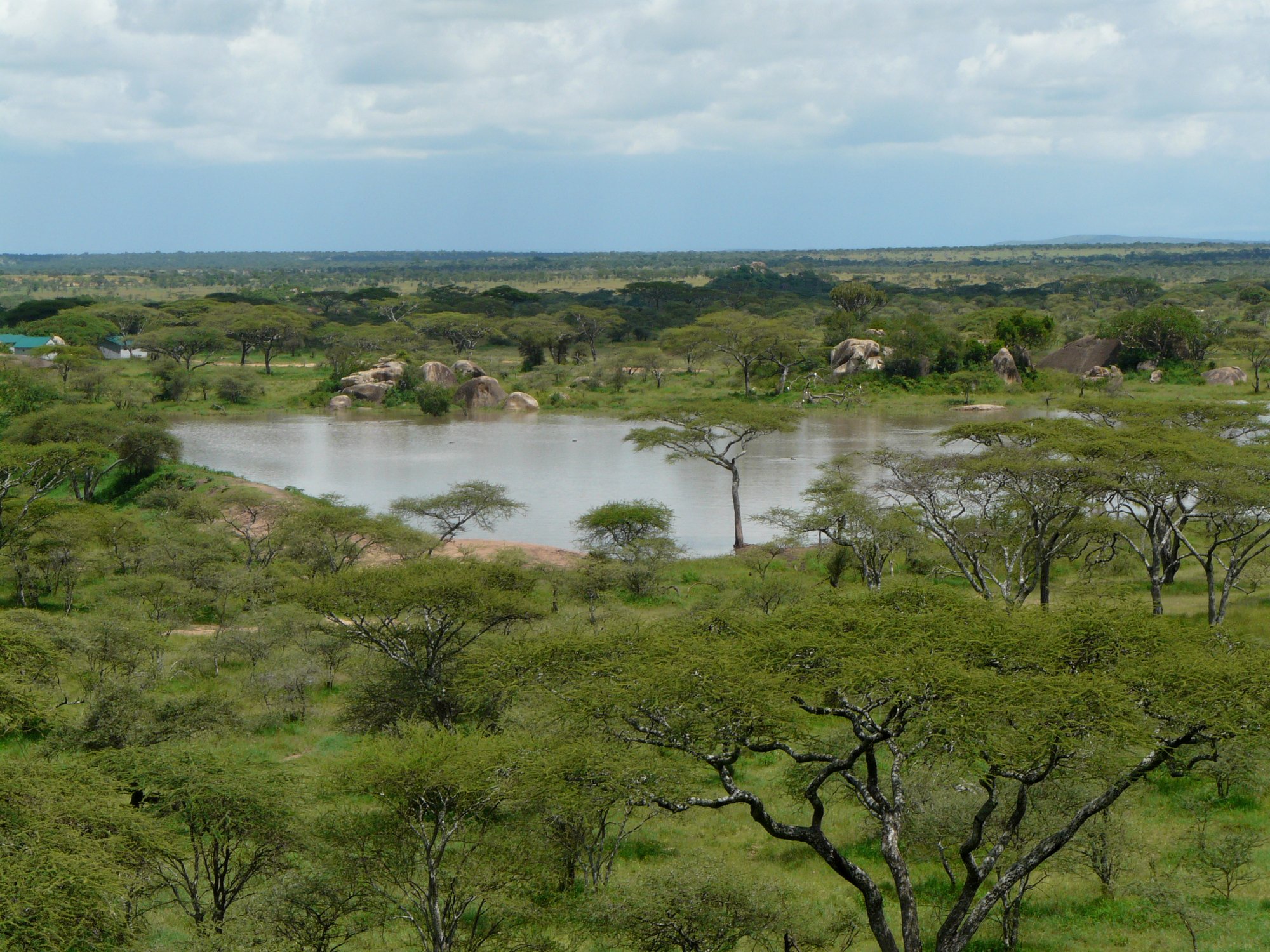 Seronera, Tanzania