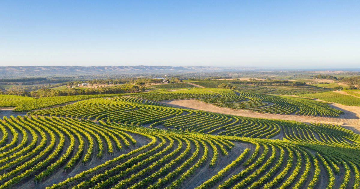 McLaren Vale, Australia