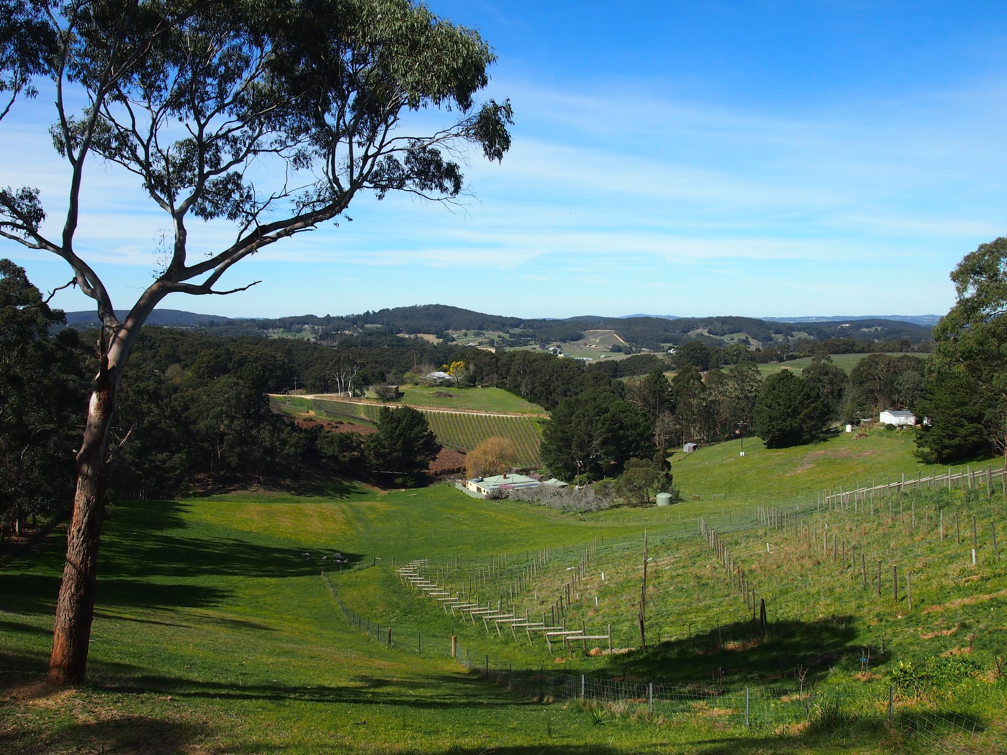 Piccadilly Valley, Australia