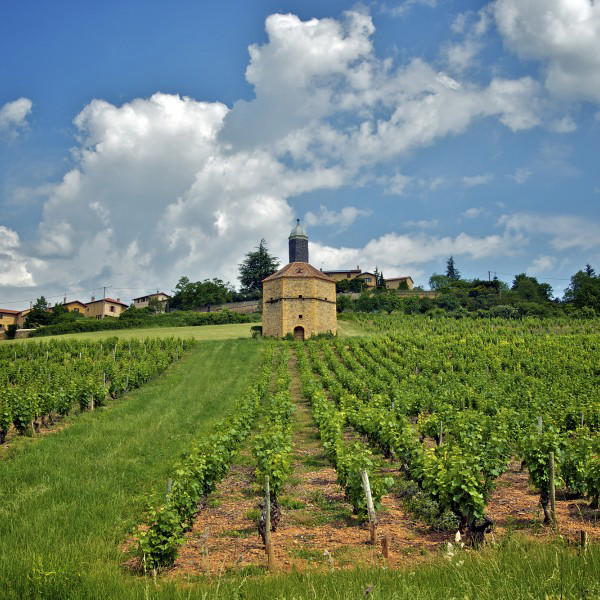 L'Arbresle, France