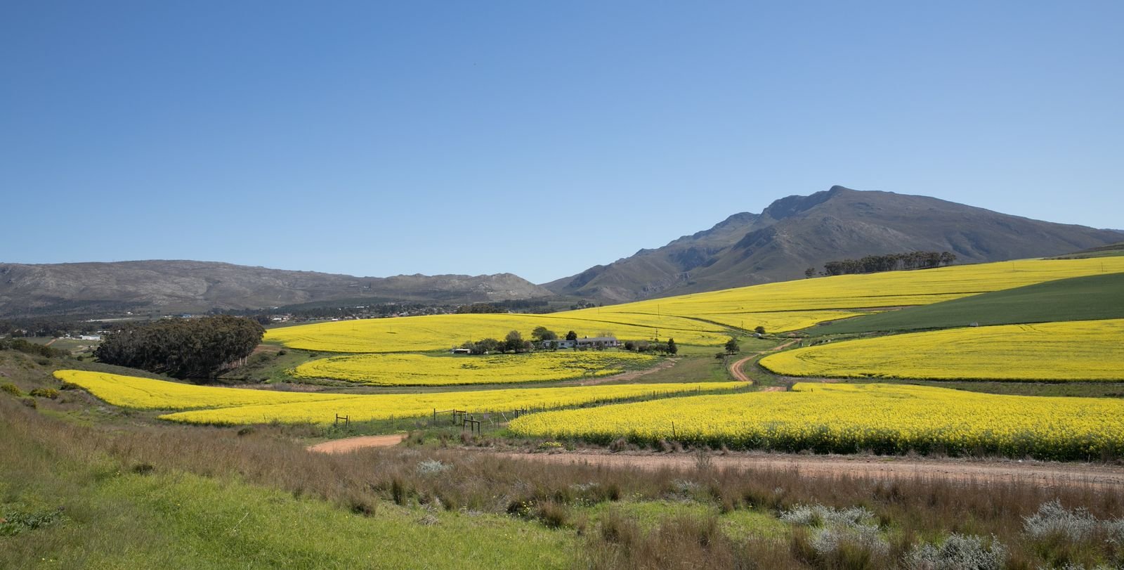 Bot River, South Africa