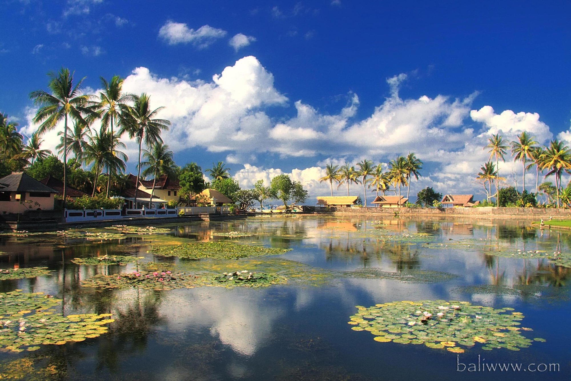 Manggis, Indonesia