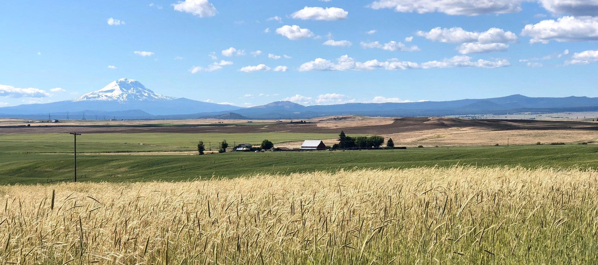 Goldendale, United States