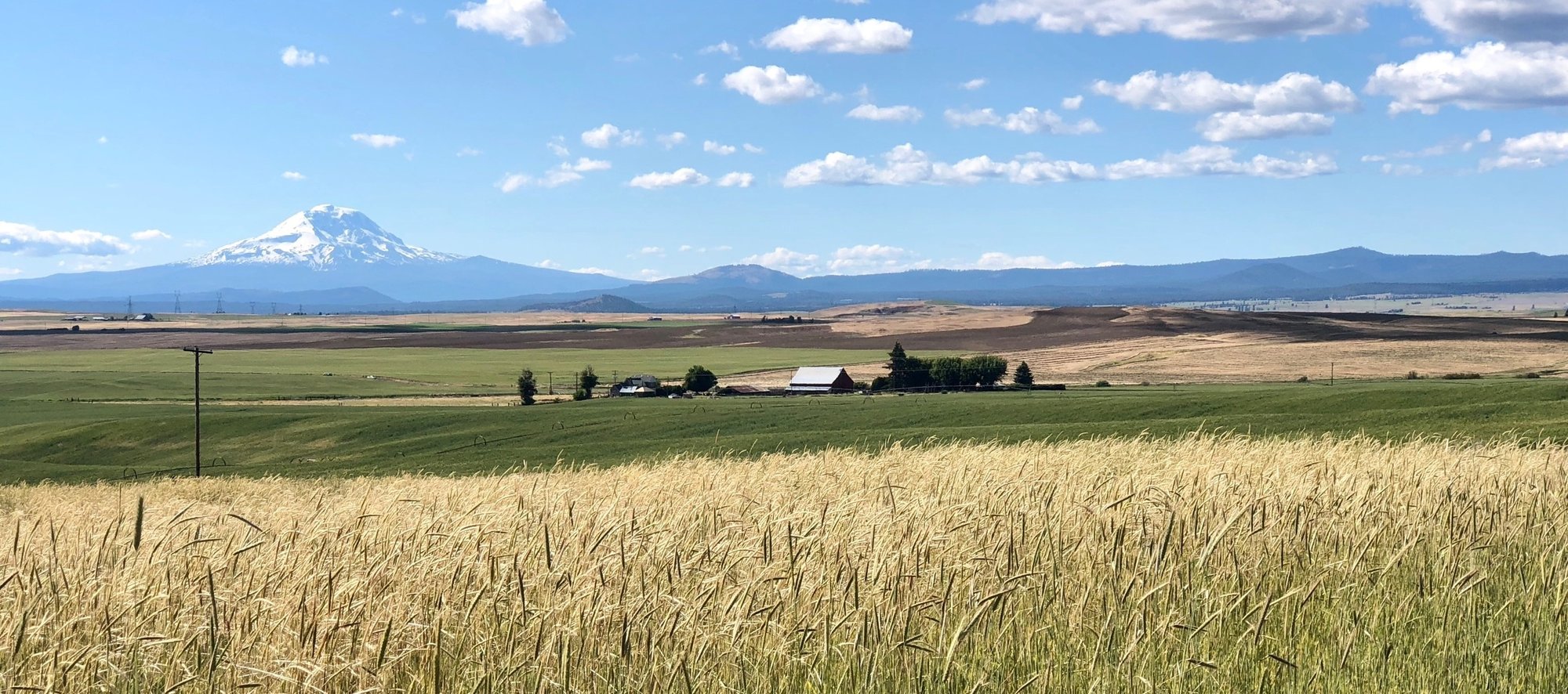 Goldendale, United States
