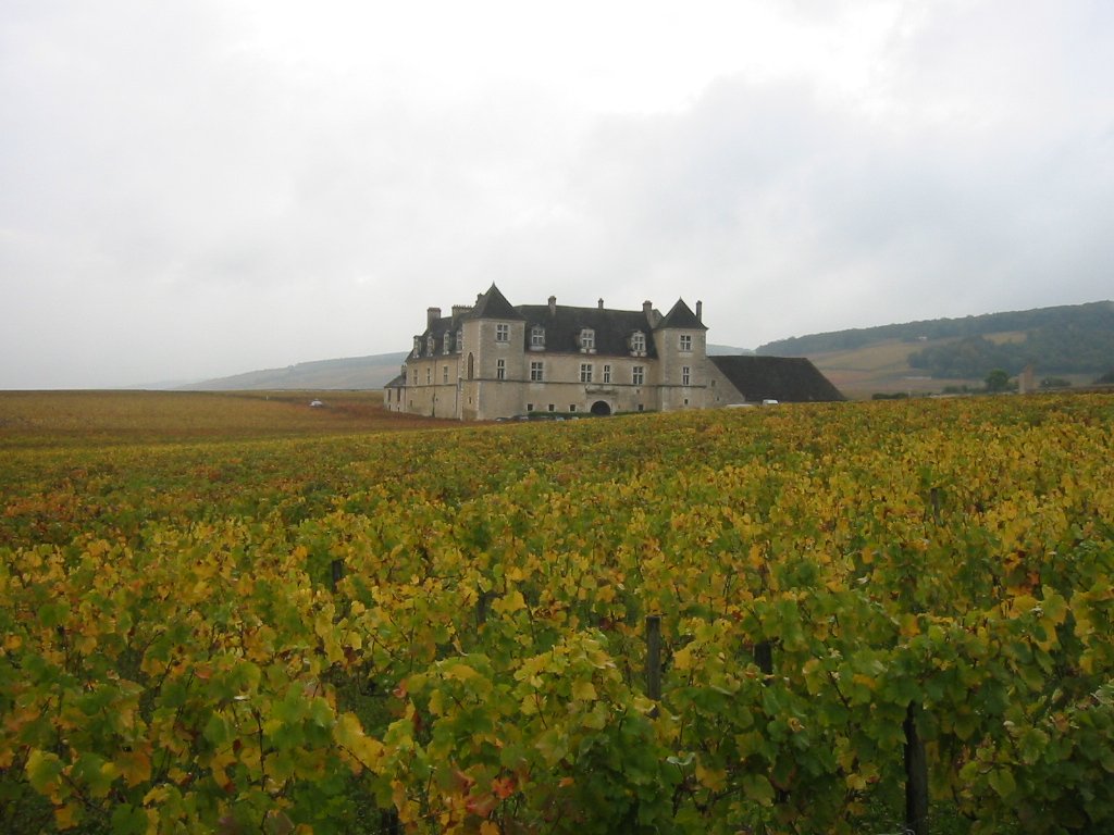 Vougeot, France