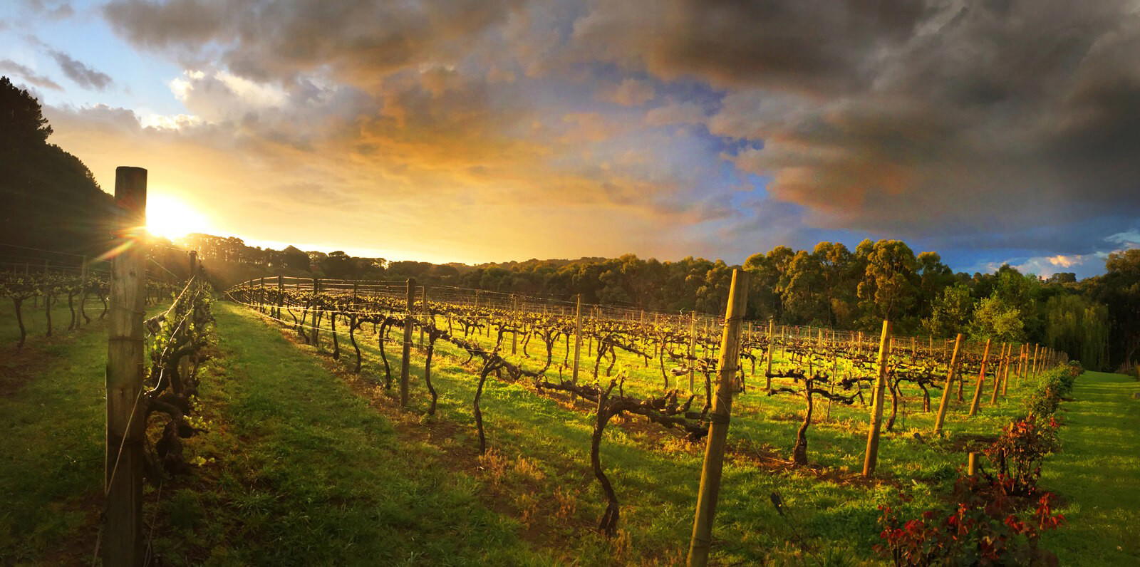 Main Ridge, Australia