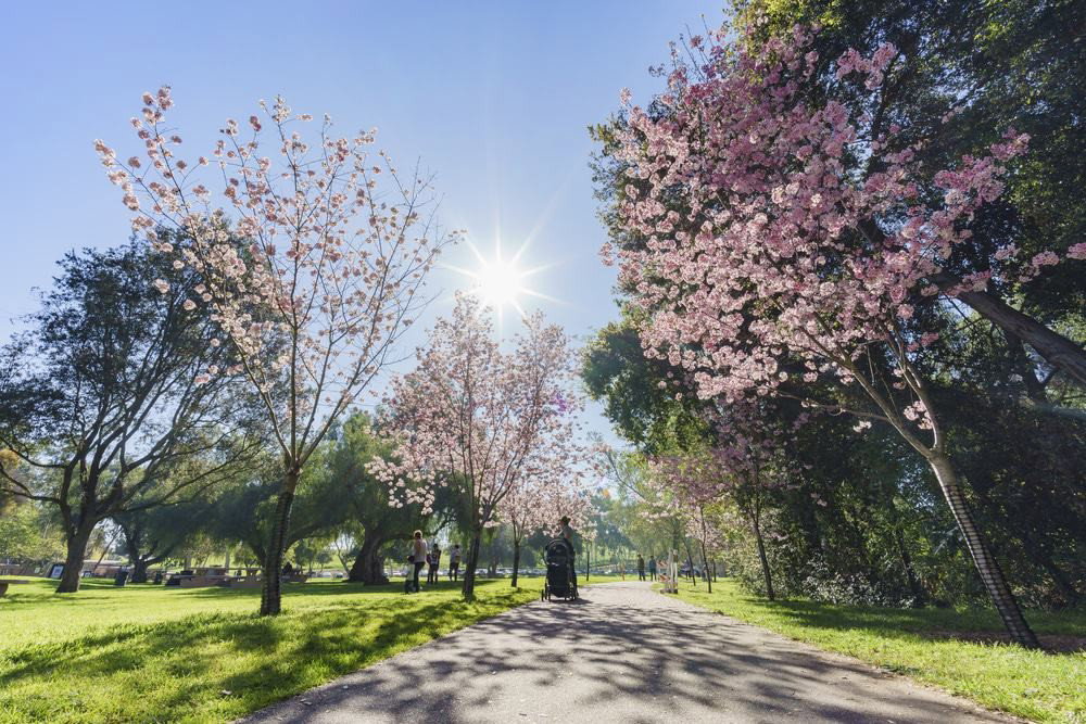 Rowland Heights, United States