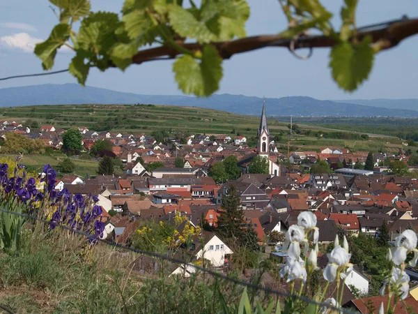 Ihringen, Germany