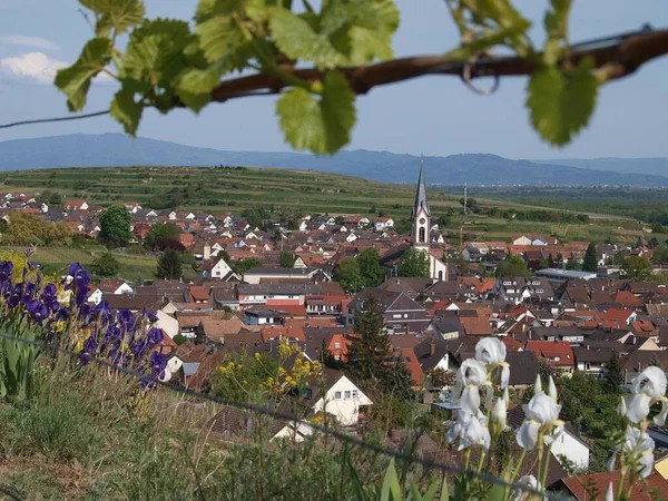 Ihringen, Germany