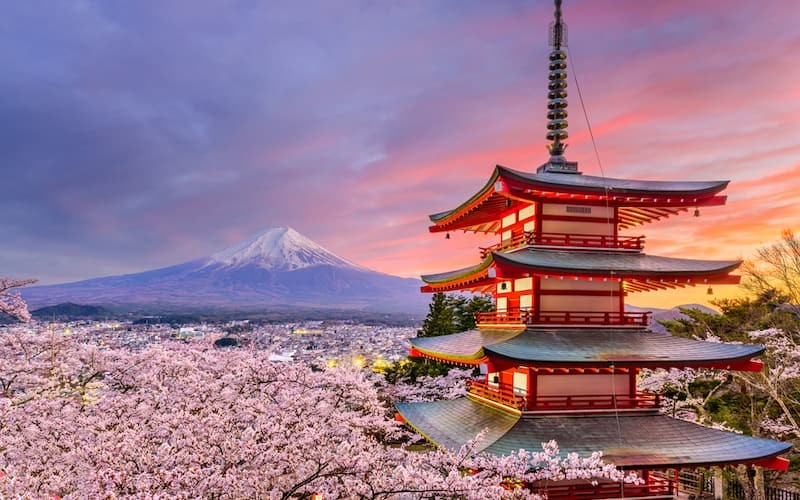 Sakura, Japan