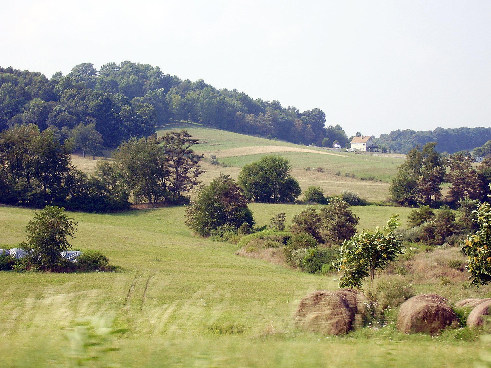 Raphine, United States