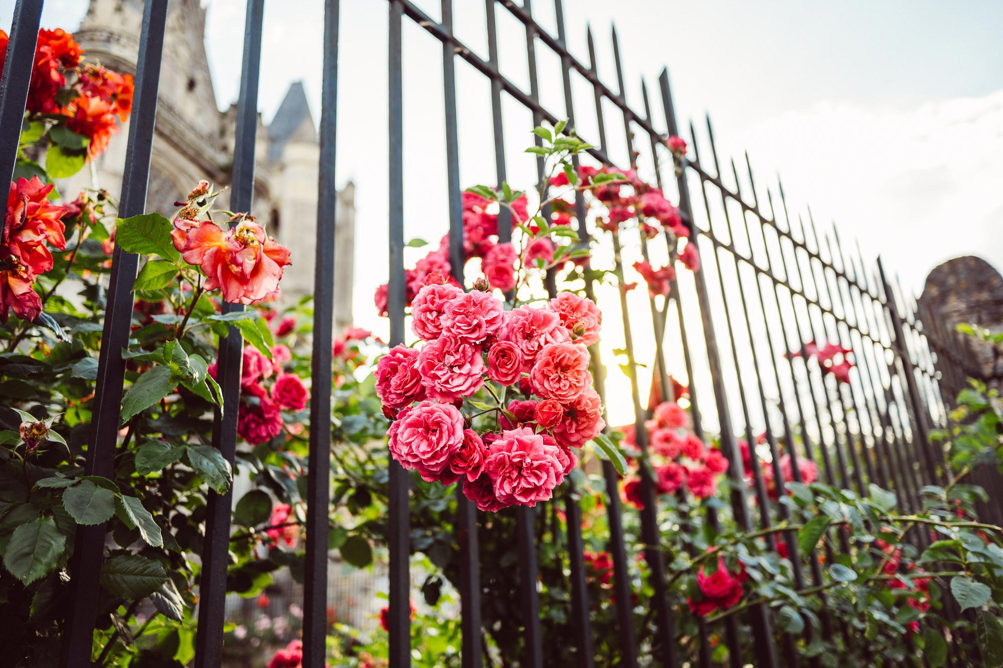 Senlis, France