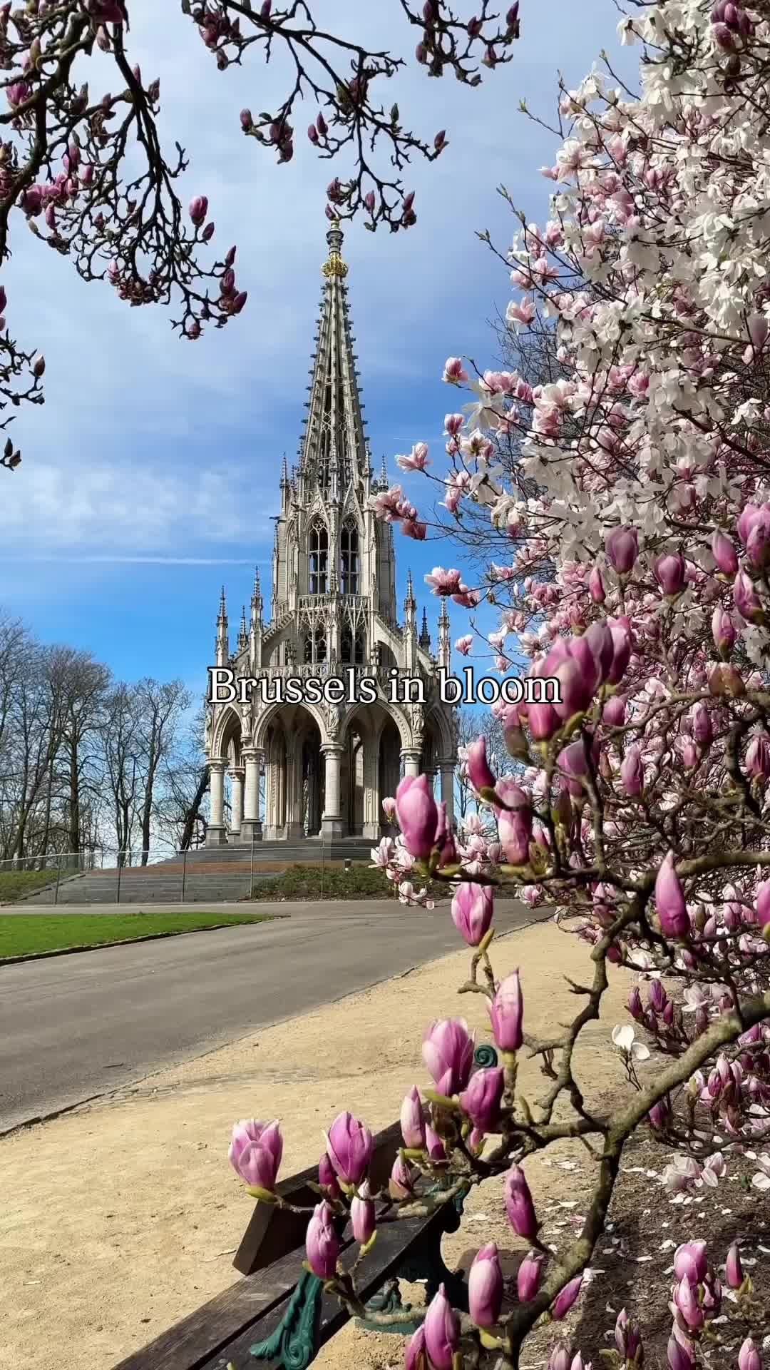 Zingem, Belgium