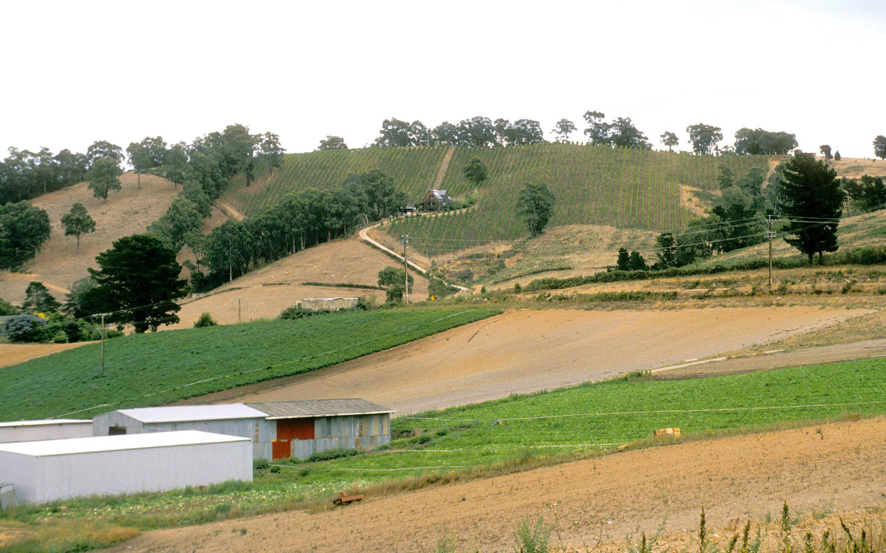 Adelaide Hills, Australia
