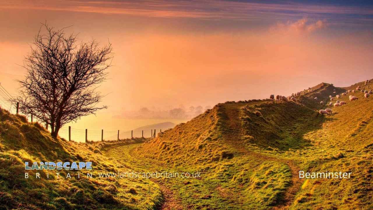 Beaminster, United Kingdom
