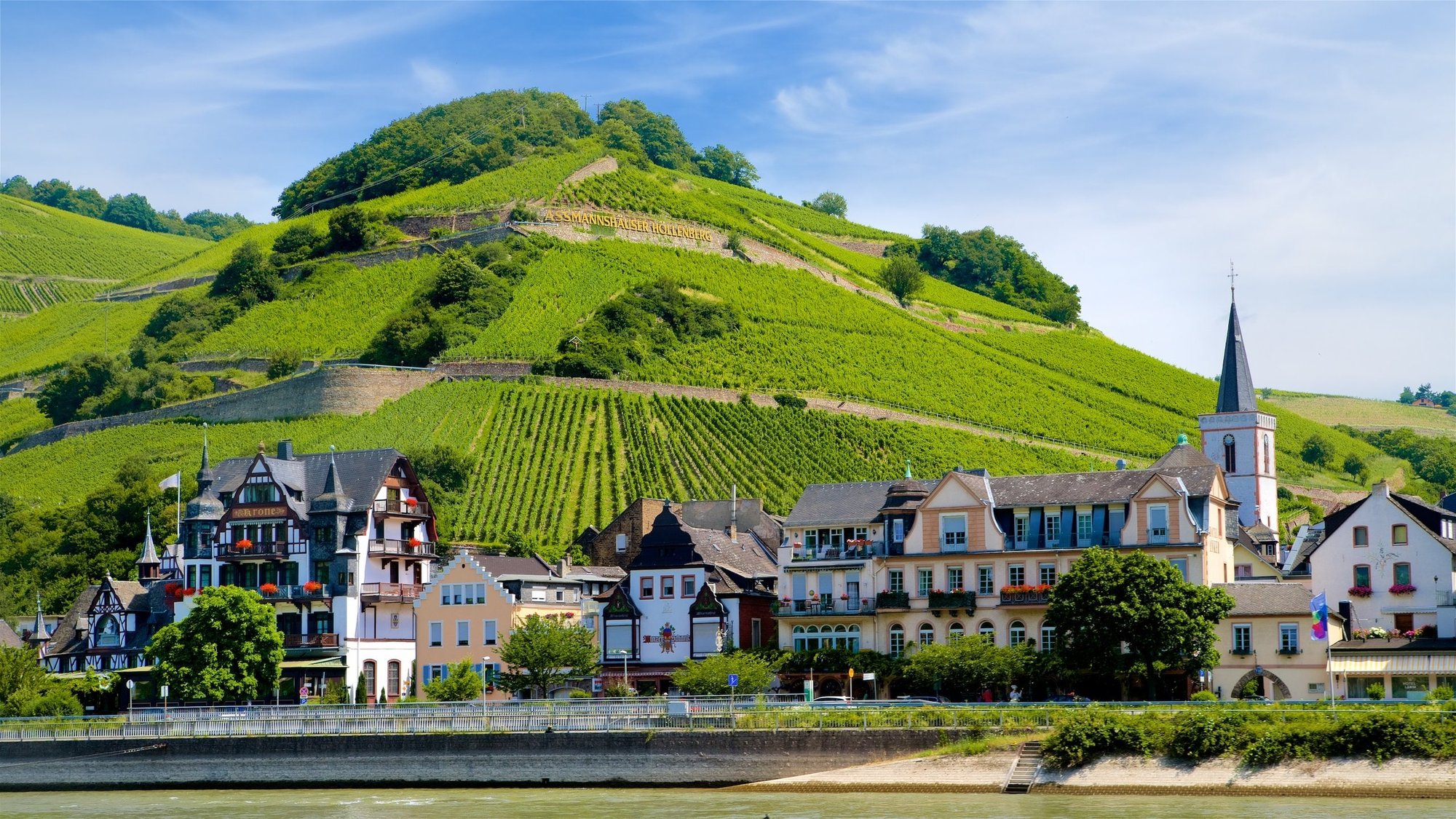 Rüdesheim (Assmannshausen), Germany