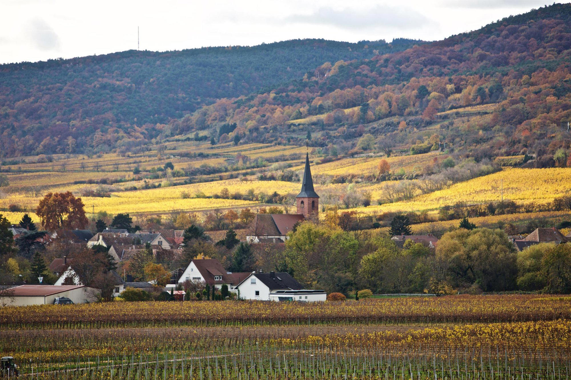 Forst an der Weinstraße, Germany