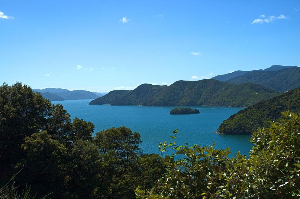 Queen Charlotte Sound, New Zealand