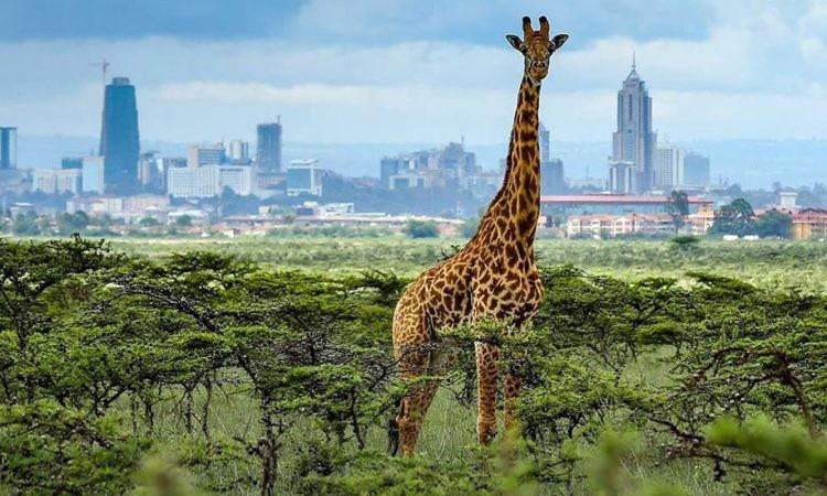 Nairobi, Kenya